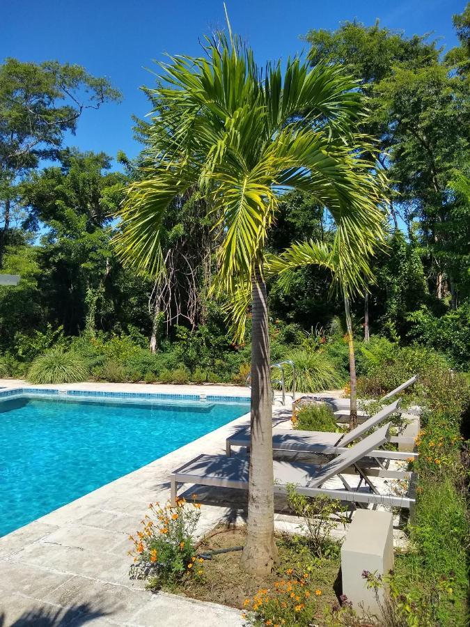Palm Beach Inn Плая Гранде Екстериор снимка