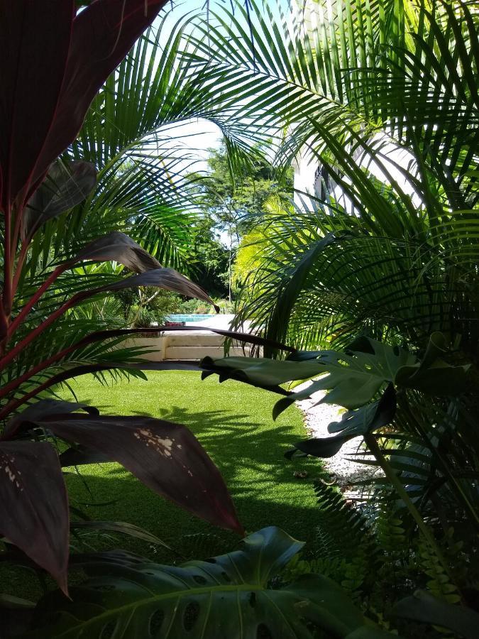 Palm Beach Inn Плая Гранде Екстериор снимка