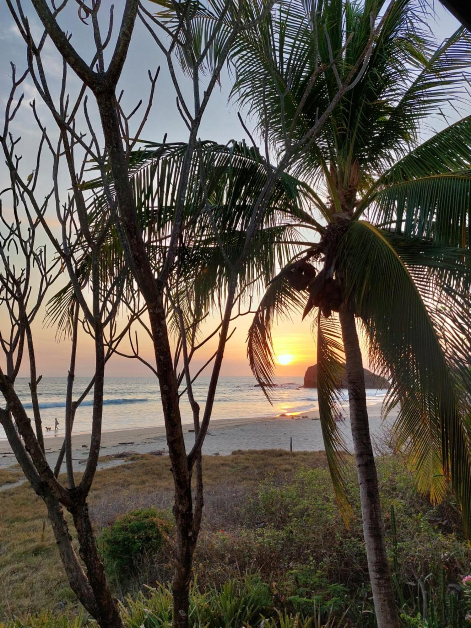 Palm Beach Inn Плая Гранде Екстериор снимка