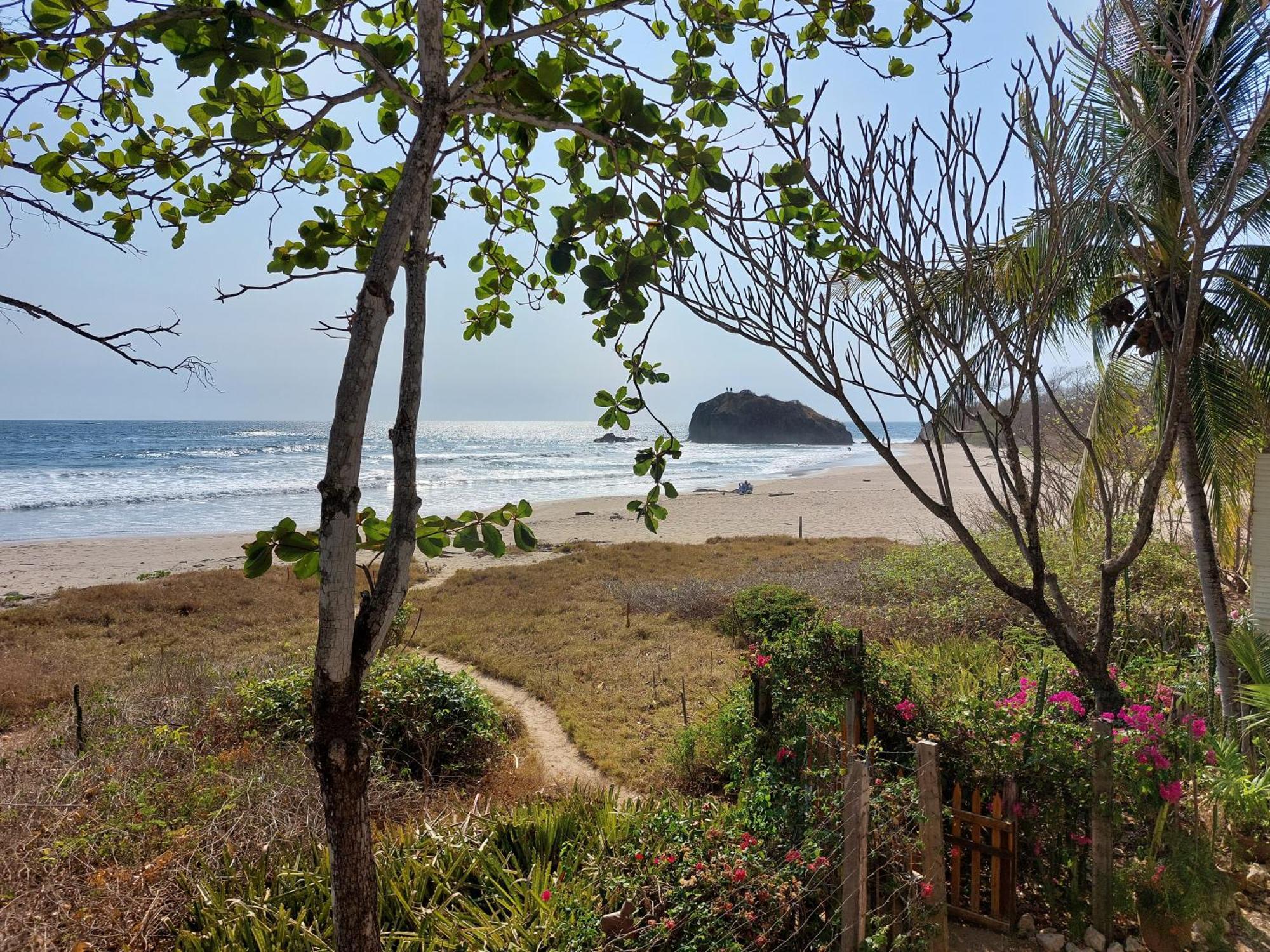 Palm Beach Inn Плая Гранде Екстериор снимка